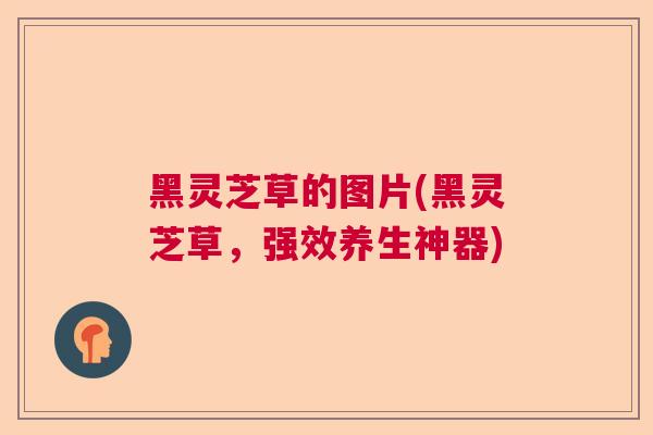 黑灵芝草的图片(黑灵芝草，强效养生神器)