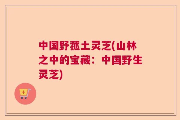 中国野菰土灵芝(山林之中的宝藏:中国野生灵芝) 中国野菰土灵芝(山林之中的宝藏:中国野生灵芝)