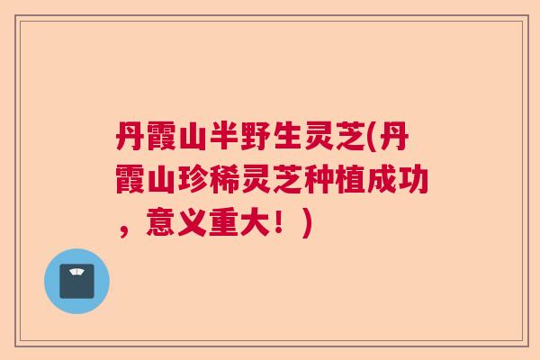丹霞山半野生灵芝(丹霞山珍稀灵芝种植成功,意义重大!) 丹霞山半野生灵芝(丹霞山珍稀灵芝种植成功,意义重大!)