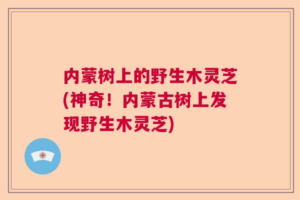 内蒙树上的野生木灵芝(神奇!内蒙古树上发现野生木灵芝) 内蒙树上的野生木灵芝(神奇!内蒙古树上发现野生木灵芝)