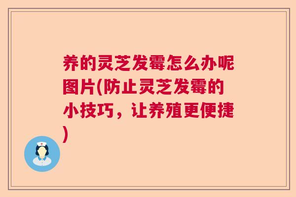 养的灵芝发霉怎么办呢图片(防止灵芝发霉的小技巧,让养殖更便捷) 养的灵芝发霉怎么办呢图片(防止灵芝发霉的小技巧,让养殖更便捷)