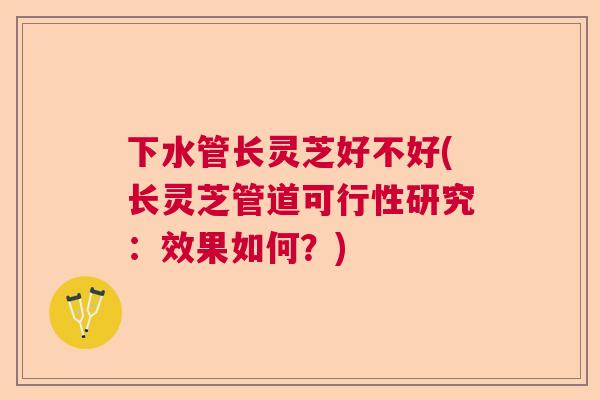 下水管长灵芝好不好(长灵芝管道可行性研究:效果如何?) 下水管长灵芝好不好(长灵芝管道可行性研究:效果如何?)