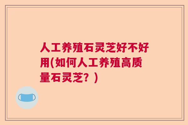 人工养殖石灵芝好不好用(如何人工养殖高质量石灵芝?) 人工养殖石灵芝好不好用(如何人工养殖高质量石灵芝?)