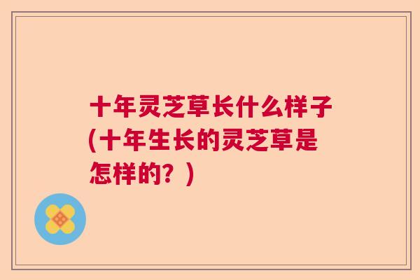 十年灵芝草长什么样子(十年生长的灵芝草是怎样的？)