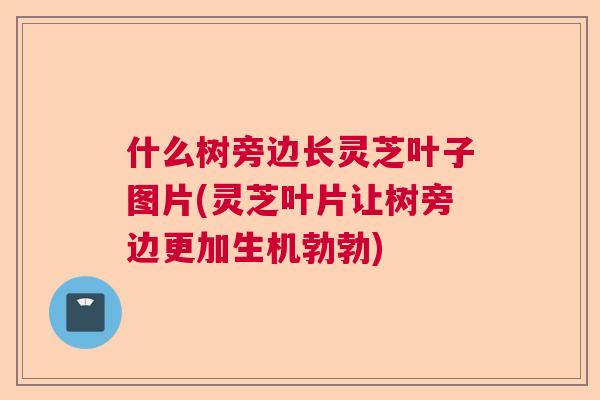 什么树旁边长灵芝叶子图片(灵芝叶片让树旁边更加生机勃勃) 什么树旁边长灵芝叶子图片(灵芝叶片让树旁边更加生机勃勃)