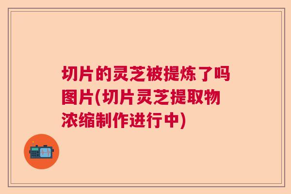 切片的灵芝被提炼了吗图片(切片灵芝提取物浓缩制作进行中)