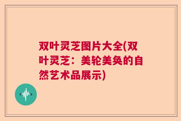 双叶灵芝图片大全(双叶灵芝:美轮美奂的自然艺术品展示) 双叶灵芝图片大全(双叶灵芝:美轮美奂的自然艺术品展示)
