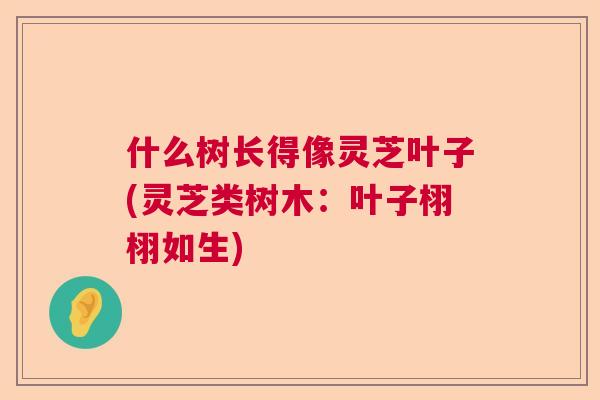 什么树长得像灵芝叶子(灵芝类树木:叶子栩栩如生) 什么树长得像灵芝叶子(灵芝类树木:叶子栩栩如生)