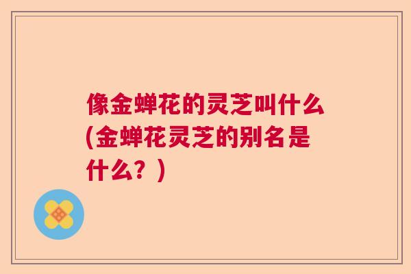 像金蝉花的灵芝叫什么(金蝉花灵芝的别名是什么?) 像金蝉花的灵芝叫什么(金蝉花灵芝的别名是什么?)