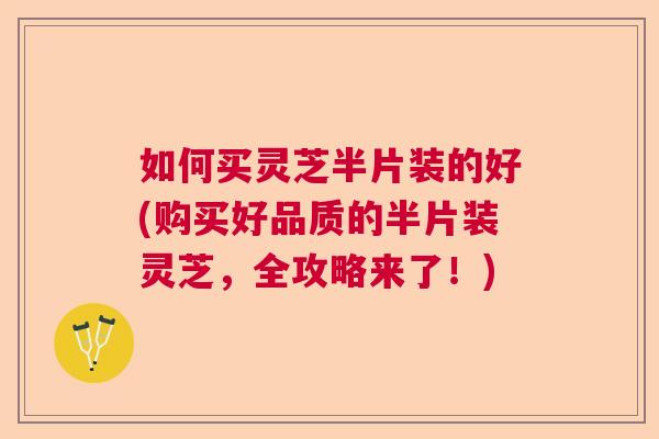 如何买灵芝半片装的好(购买好品质的半片装灵芝,全攻略来了!) 如何买灵芝半片装的好(购买好品质的半片装灵芝,全攻略来了!)
