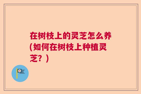 在树枝上的灵芝怎么养(如何在树枝上种植灵芝?) 在树枝上的灵芝怎么养(如何在树枝上种植灵芝?)
