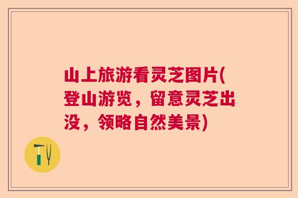 山上旅游看灵芝图片(登山游览，留意灵芝出没，领略自然美景)
