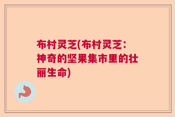 布村灵芝(布村灵芝：神奇的坚果集市里的壮丽生命)