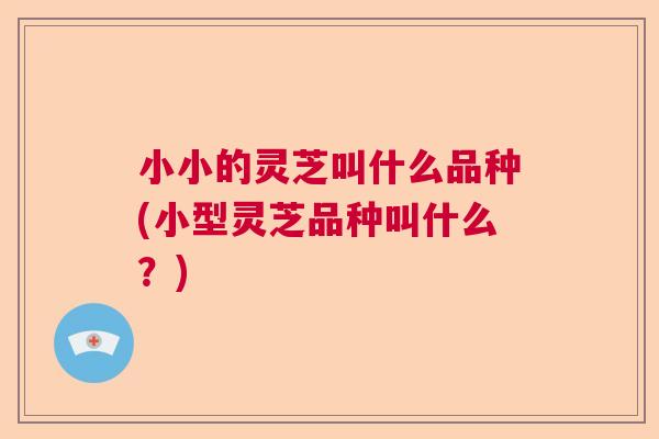 小小的灵芝叫什么品种(小型灵芝品种叫什么?) 小小的灵芝叫什么品种(小型灵芝品种叫什么?)