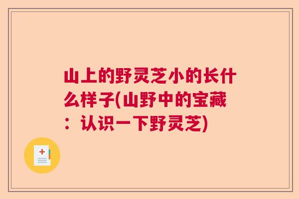 山上的野灵芝小的长什么样子(山野中的宝藏:认识一下野灵芝) 山上的野灵芝小的长什么样子(山野中的宝藏:认识一下野灵芝)