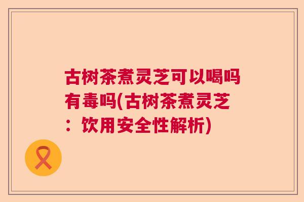 古树茶煮灵芝可以喝吗有毒吗(古树茶煮灵芝：饮用安全性解析)
