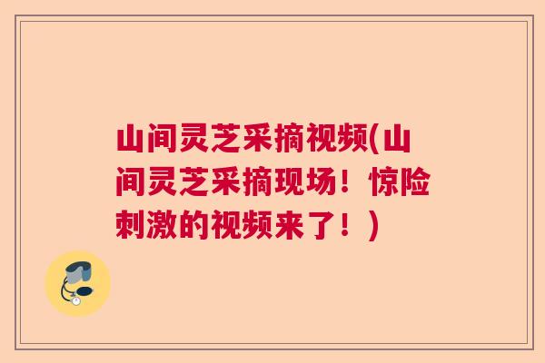 山间灵芝采摘视频(山间灵芝采摘现场！惊险刺激的视频来了！)