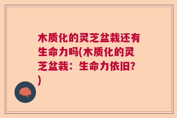 木质化的灵芝盆栽还有生命力吗(木质化的灵芝盆栽：生命力依旧？)