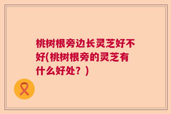 桃树根旁边长灵芝好不好(桃树根旁的灵芝有什么好处？)