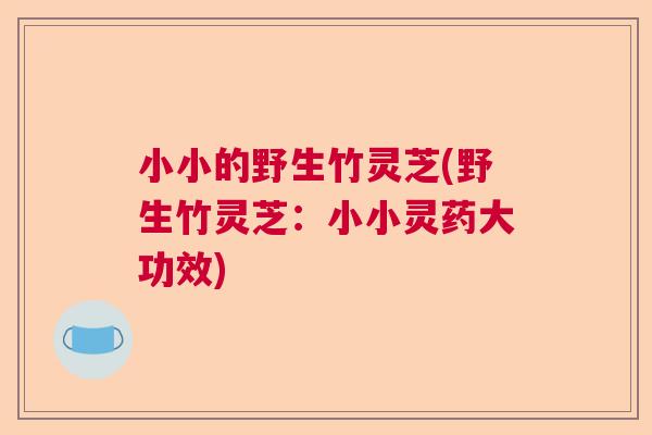 小小的野生竹灵芝(野生竹灵芝：小小灵药大功效)