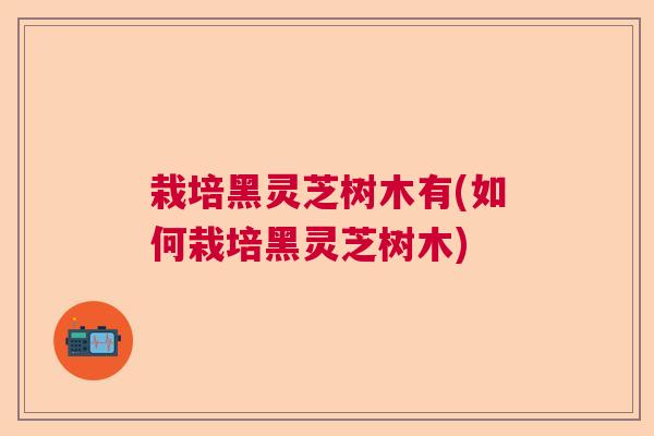 栽培黑灵芝树木有(如何栽培黑灵芝树木)